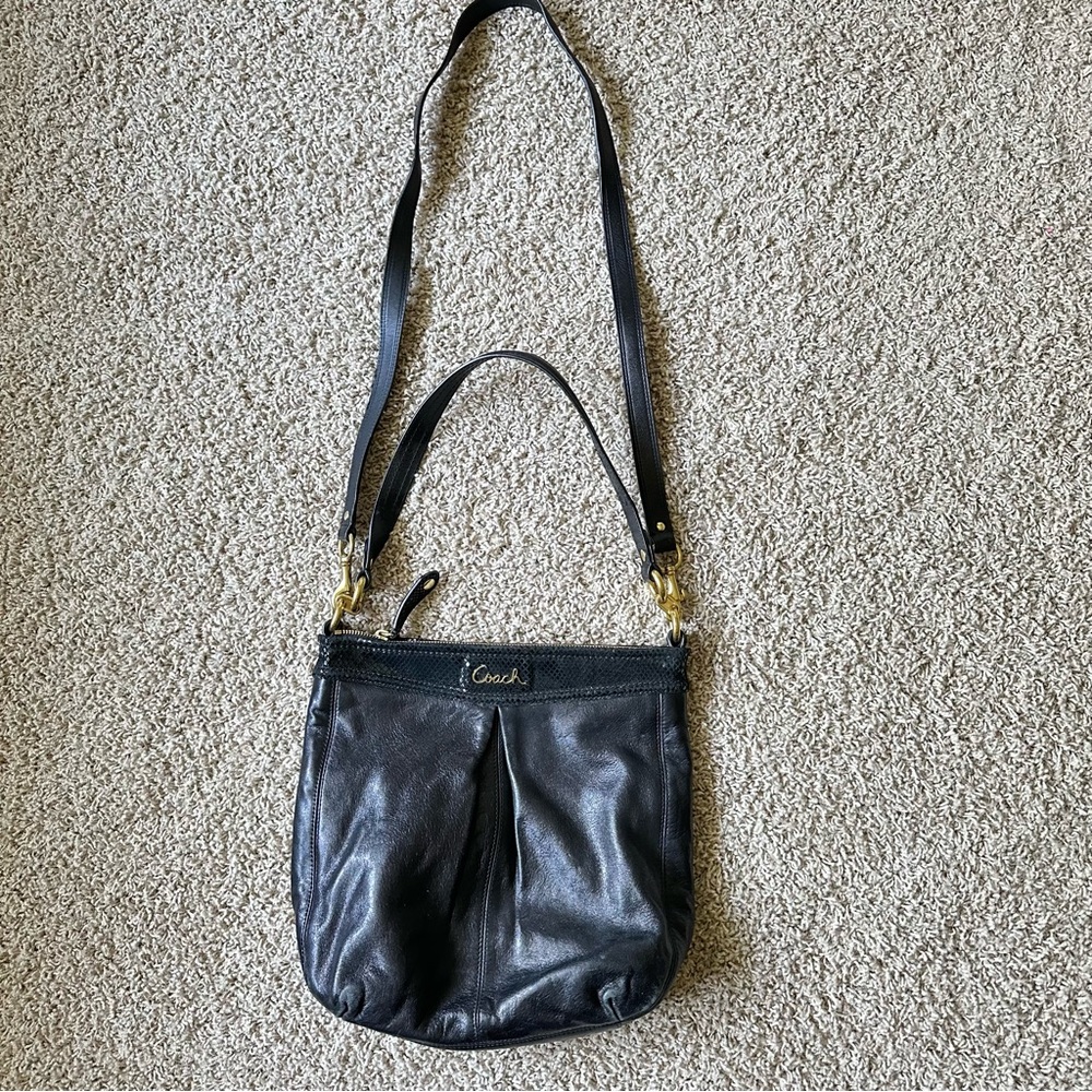 Coach Ashley Leather Hippie Crossbody Bag